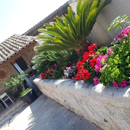 Casale Peace